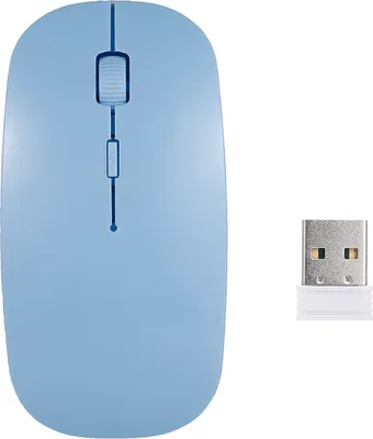 A light blue wireless computer mouse and its USB receiver are shown against a white background.