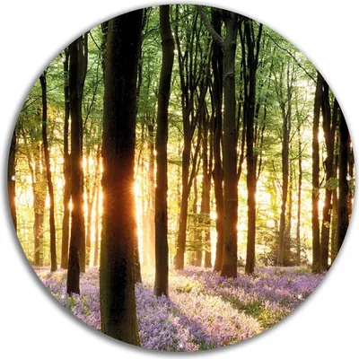 Produktbild von Wallario rundes Outdoor-Poster für Garten oder Balkon, Motiv Blaue Hasenglöckchen im Wald mit Sonnenstrahlen, 60 cm Durchmesser