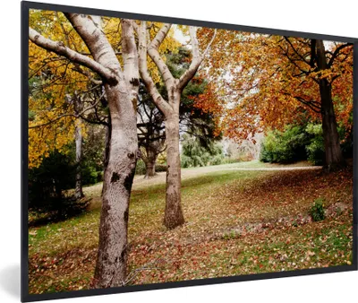 Produktbild von MuchoWow® Gerahmtes Poster Herbst - Bäume - Laub - Natur 90x60 cm - Poster mit Schwarzem Bilderrahmen Wandposter Rahmen Foto Bilder - Fotorahmen - Foto-Plakat