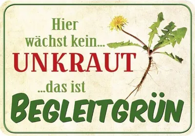 Produktbild von Kulthänger Blechschild Unkraut Begleitgrün, KH 140