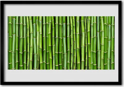 Produktbild von Bild 100x70 MDF-Rahmen Wandkunst Bambus-Blumen-Anlage