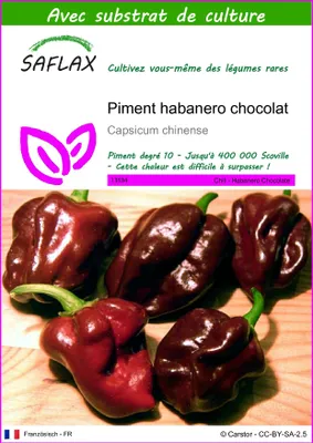Image de SAFLAX - Piment habanero chocolat - 10 graines - Avec substrat - Capsicum