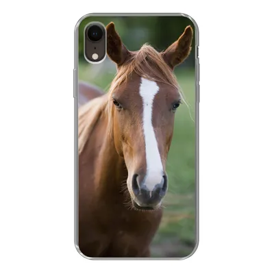 Produktbild von MuchoWow® Handyhülle Schutzhülle Hülle für iPhone XR Pferd - Natur - Porträt Silikon Softcase Handy Hülle - Schutzdeckel