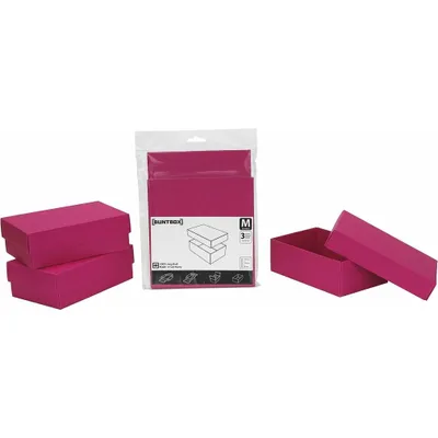 Produktbild von 3 BUNTBOX M Geschenkboxen 1,1 l pink 17,0 x 11,0 x 6,0 cm
