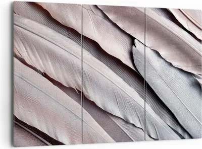 Produktbild von Bild auf Leinwand - Leinwandbild - 3 Teile - Federn Flügel Feder - 165x110cm - Wand Bild - Wanddeko - Wandbilder - Leinwanddruck - Bilder - Wanddekoration - Leinwand bilder - Wandbild - CE165x110-5114