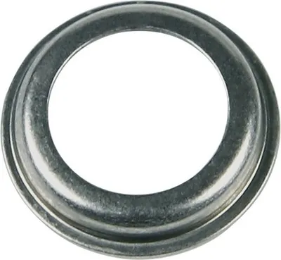A silver metal ring with a raised edge, isolated on a white background.