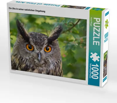 Produktbild von CALVENDO Puzzle Ein Uhu in seiner natürlichen Umgebung | 1000 Teile Lege-Größe 64x48cm Foto-Puzzle für glückliche Stunden