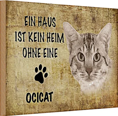 Produktbild von Holzschild Spruch 30x20cm Ocicat Katze ohne kein Heim