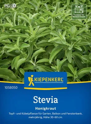 Produktbild von Kiepenkerl Steviasamen Honigkraut Stevia rebaudiana 12 Pflanzen