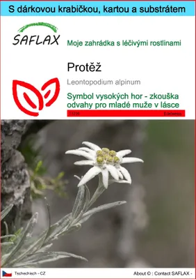 Obrázek produktu pro SAFLAX Dárková sada - Protěž - Leontopodium alpinum - 500 Semena - S dárkovou krabičkou, přepravním štítkem, dárkovou kartou a pěstebním médiem