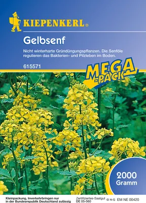Produktbild von Gelbsenf (2 kg) | Gründünger von Kiepenkerl