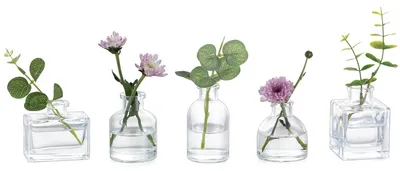 Mini-Vasen-Set (5er) aus Glas, klar, für Blumen & Dekoration