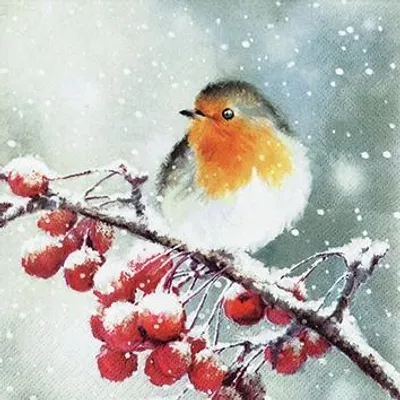 Produktbild von 20 kleine Cocktailservietten Hello Robin - Winterszene mit Vogel 25x25cm