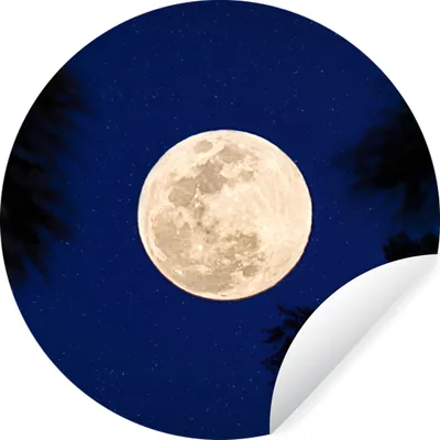 Produktbild von MuchoWow® Runde Wandtattoo - Wandsticker Tapete Aufkleber Mond - Bäume - Nacht Ø 100 cm Selbstklebend und Repositionierbar - Wandaufkleber - Kreis - Tapetenkreis - Wandbild rund - Schlafzimmerdekoration - Wanddeko - runde Tapete - Kunst für zu Hause
