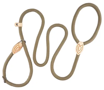 Image de Laisse pour chien avec collier, longueur réglable à 150 cm, avec arrêt de traction, en nylon