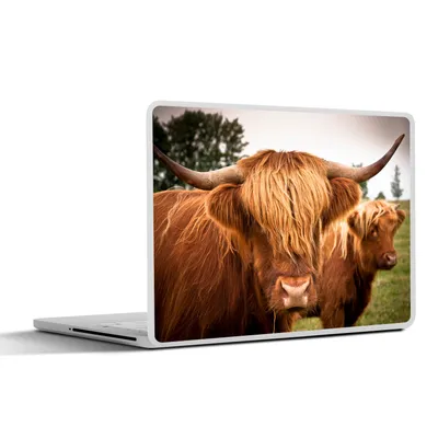 Produktbild von MuchoWow® Laptop Aufkleber Sticker Cover Schottische Highlander - Braun - Gras 30x22 cm - Laptop-Sticker