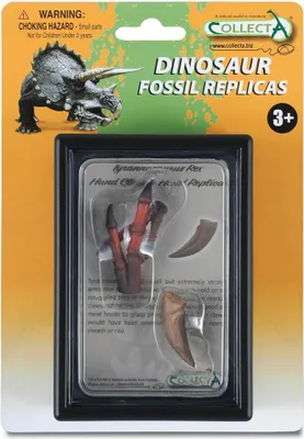 Image de COLLECTA Set cadeau - Préhistoire