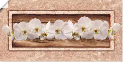 Produktbild von ARTland Poster Weiße Orchideen braun gold Größe: 150x75 cm