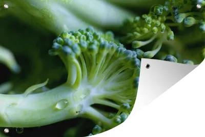 Produktbild von MuchoWow®