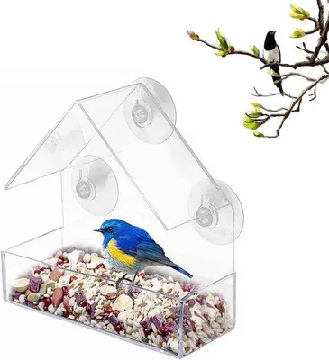 Productafbeelding van Vogelhuis met tralies voor het raam - Transparant met vogelmotief - Vogelvoerhuisje - Transparant