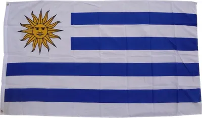 Obrázok produktu pre Vlajka Uruguaja 90 x 150 cm s 2 očkami 100g/m² záťažová látka vlajka na stožiar