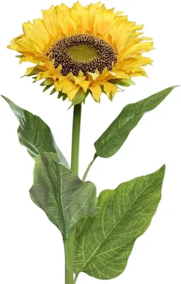 Produktbild von aplanta Künstliche Sonnenblume - Ilkay | 78 cm, Real Touch, für drinnen, Kunstblume, wie echt, Allergiker geeignet, pflanzliche Dekoration Praxis, Office & Wohnzimmer