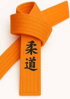 Produktbild von Ju Jutsu Gürtel Orange bestickt - Ju Jutsu Schriftzeichen japanisch - Orangegurt mit Kanji Bestickung - 260 cm Länge