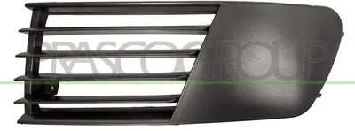 Produktbild von PRASCO Lüftungsgitter Grill Stoßfänger für SEAT Ibiza III Schrägheck (6L)