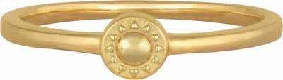 Produktbild von cai Ring 925/- Sterling Silber gelb 056 (17,8) ohne Stein 274270192