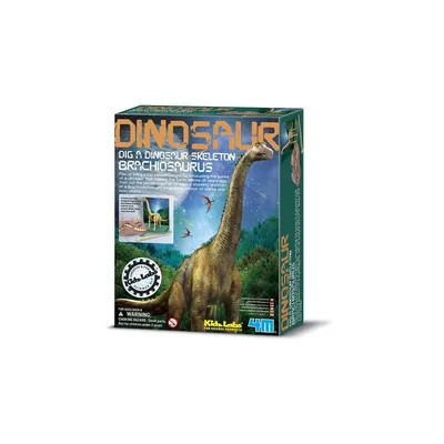 Zdjęcie produktu dla 4M KidzLabs craft kit "Brachiosaurus skeleton"
