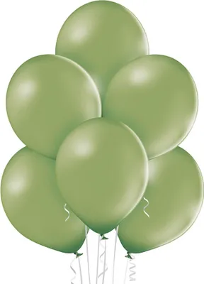 Zdjęcie produktu dla Balony Pastel Rosemary Green B105 100 szt.