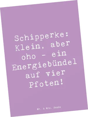 Produktbild von Mr. & Mrs. Panda Ansichtskarte Spruch Schipperke Energie - Lavendeltraum - Geschenk, Hund, Energiebündel, einzelkarte, Kunstkarten, Postkarte, Grußkarte, Begleiter