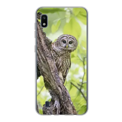 Produktbild von MuchoWow® Handyhülle Schutzhülle Hülle für Samsung Galaxy A10 Eule - Wald - Licht Silikon Softcase Handy Hülle - Schutzhülle