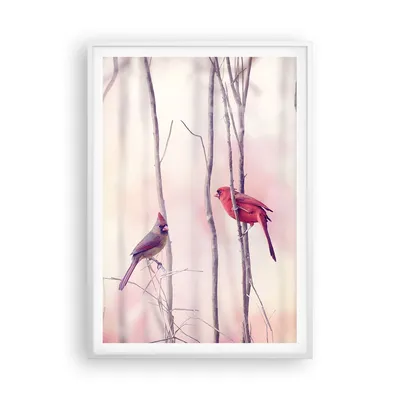 Produktbild von Gerahmtes Poster - Weißer Rahmen - Vögel Kardinal Scharlachrot - 70x100 cm - Wand Bild - Wanddeko - Wandbilder - Wandposter - Bilderrahmen - Bilder - Kunstdruck - Wandbild - P2WPA70x100-4256