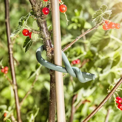 Produktbild von Windhager Gartendraht mit Gummimantel 5 m