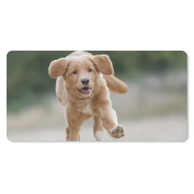 Produktbild von MuchoWow® Mauspad Mousepad Ein Golden Retriever Welpe 60x30 cm - Mousepads - Maus Mat - Pad - Mausunterlage - Nachhaltig