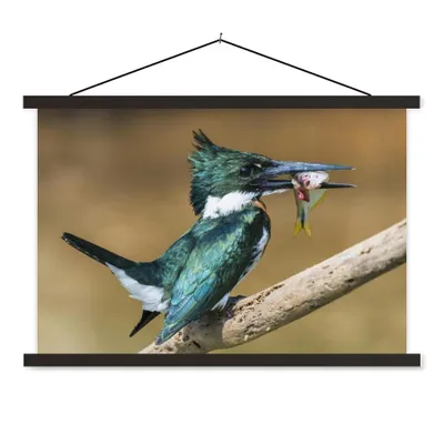 Produktbild von MuchoWow® Textilposter Vogel - Fisch - Zweig 150x100 cm mit schwarzem Rahmen - Schlafzimmer