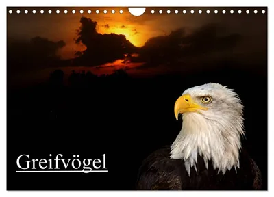 Produktbild von Greifvögel (Wandkalender 2027 DIN A4 quer), CALVENDO Monatskalender