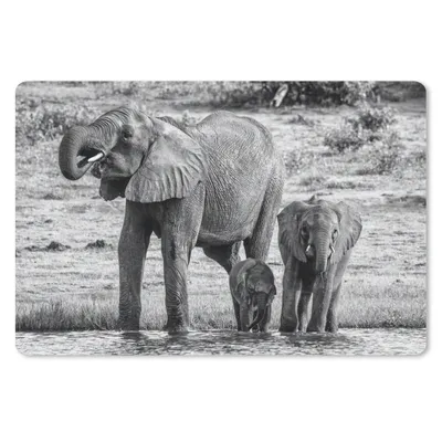 Produktbild von MuchoWow® Mauspad Mousepad Elefant - Wasser - Tiere - Schwarz - Weiß 27x18 cm - Mousepads - Maus Mat - Pad - Mausunterlage - Büroartikel - Desk Matten