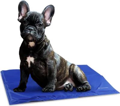 Produktbild von Navaris Kühlmatte Hund Kühldecke Katzen - Abkühlung Kühlmittel für Tiere - Gelmatte für Bett oder Auto - Regulierung der Körpertemperatur -