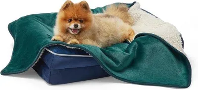 Productafbeelding van Famanu Hondenbed, waterafstotend - 80 x 60 cm, fleece voor kleine honden en katten, omkeerbaar
