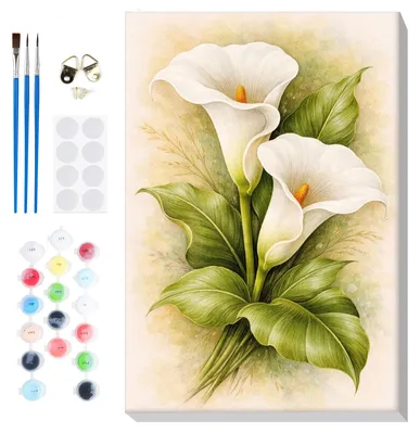 Malen nach Zahlen für Erwachsene mit Rahmen, DIY-Set mit Pinseln und Acrylfarben