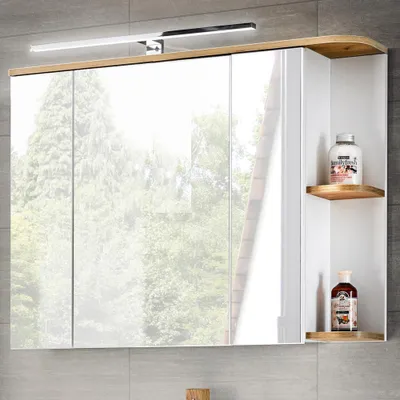 A bathroom cabinet with mirrored doors and open shelving, reflecting trees and sky.