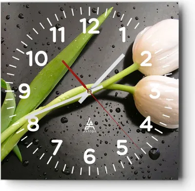 Produktbild von Wanduhr - Quadrat - Glasuhr - Tulpen Blume Pflanzung Pflanze - 30x30cm - Schleichendes Uhrwerk - Lautlos - zum Aufhängen bereit - Dekoration Modern - Wanddekoration aus Glas - C4AC30x30-2301