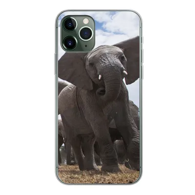 Produktbild von MuchoWow® Handyhülle Schutzhülle Hülle für iPhone 11 Pro Elefant - Tiere - Natur - Flachland Silikon Softcase Handy Hülle - Handy