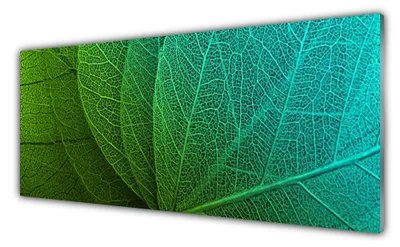 Produktbild von Acrylglasbilder 125x50 Wandbild Druck Abstrakte Blätter Pflanzen