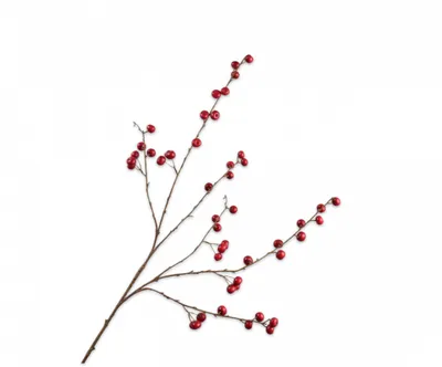 Produktbild von Silk-ka Kunstblume-Seidenblume-Künstlicher Zweig Apfelzweig Rot 124 cm