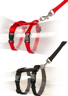 Zdjęcie produktu dla Szelki i smycz dla kota DUVO+ 20–35 cm / 10 mm–125 cm