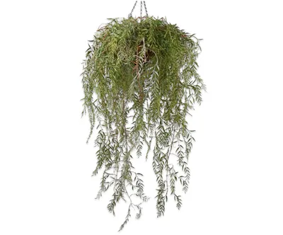 Productafbeelding van Silk-ka kunstplant, hangplant, zijde, groen, 120 cm