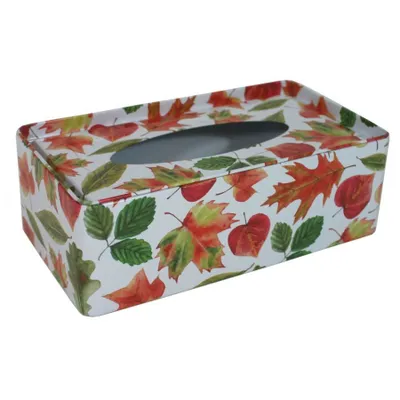 Immagine prodotto di Contenitore per fazzoletti, Autunno 2001